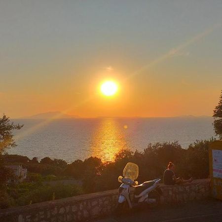 Apartment Regina Giovanna Sorrento Dış mekan fotoğraf