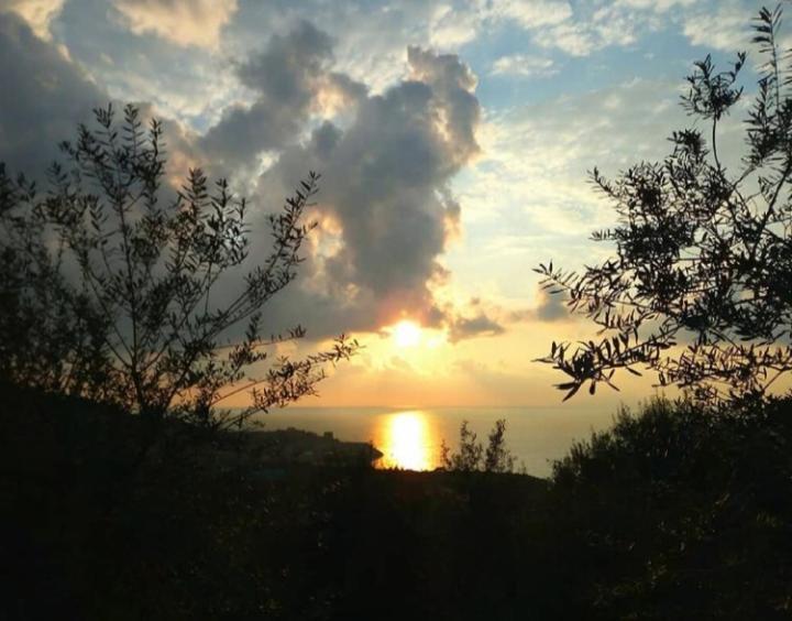 Apartment Regina Giovanna Sorrento Dış mekan fotoğraf