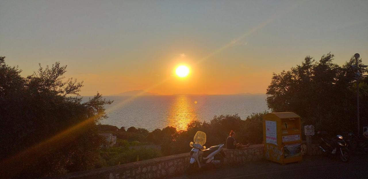 Apartment Regina Giovanna Sorrento Dış mekan fotoğraf